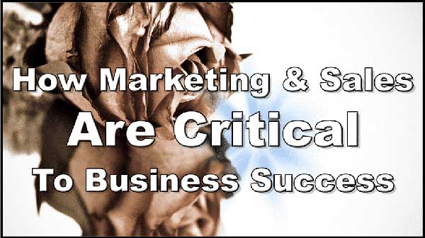 How Marketing & Sales are Critical to Business Success