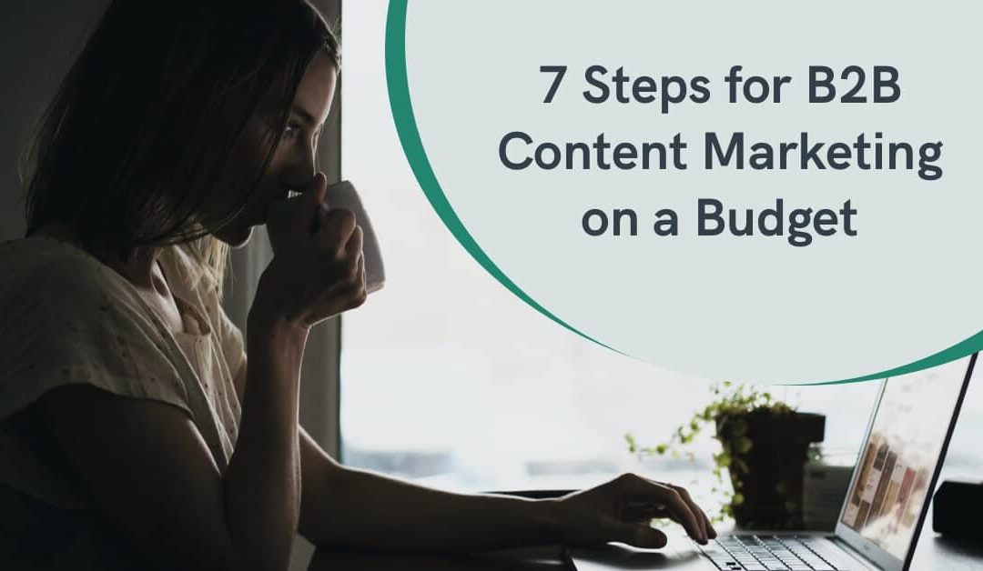 7 Steps for B2B Content Marketing on a Budget