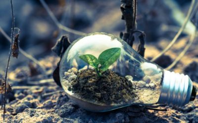 Top Inbound Marketing Strategies for Tech Companies